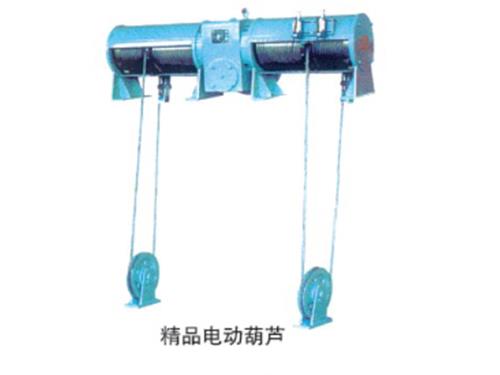 山西雙吊點(diǎn)電動(dòng)葫蘆